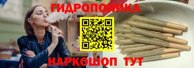 молекула духа Лесосибирск